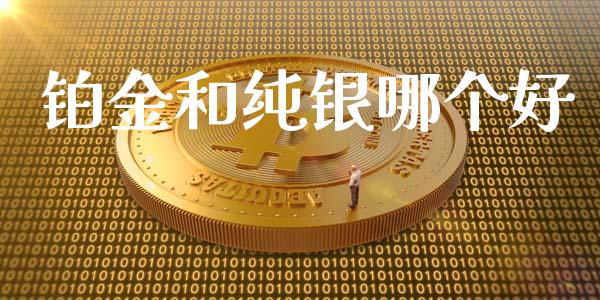 铂金和纯银哪个好_https://m.fansifence.com_公募基金_第1张