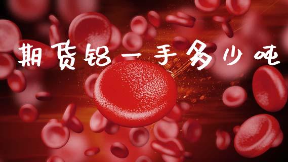 期货铝一手多少吨_https://m.fansifence.com_公募基金_第1张