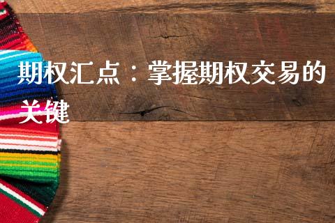 期权汇点：掌握期权交易的关键_https://m.fansifence.com_消费金融_第1张