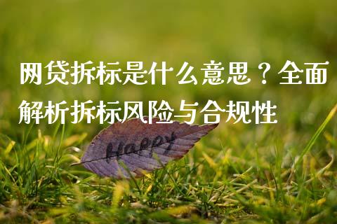 网贷拆标是什么意思？全面解析拆标风险与合规性_https://m.fansifence.com_消费金融_第1张