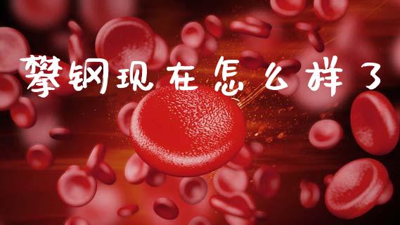 攀钢现在怎么样了_https://m.fansifence.com_公募基金_第1张