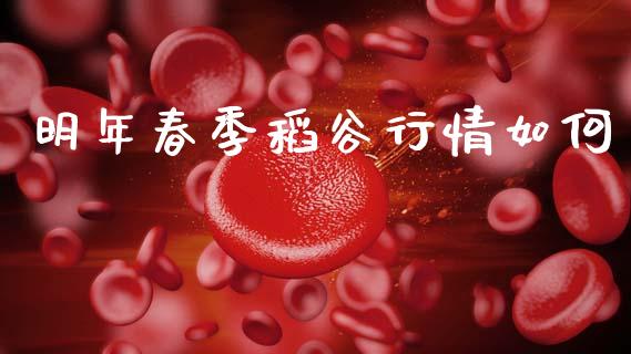 明年春季稻谷行情如何_https://m.fansifence.com_消费金融_第1张