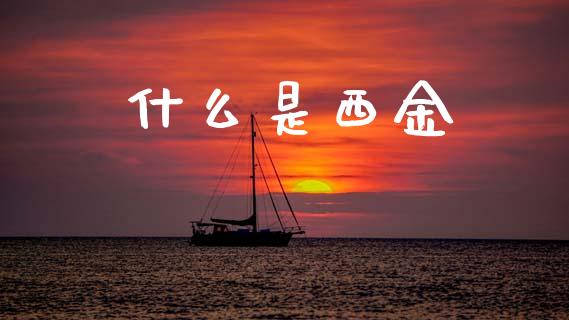 什么是西金_https://m.fansifence.com_消费金融_第1张
