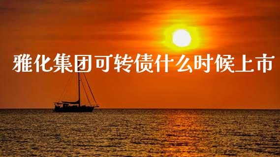 雅化集团可转债什么时候上市_https://m.fansifence.com_个股行情_第1张