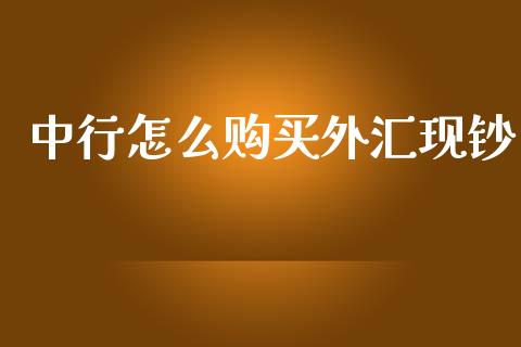 中行怎么购买外汇现钞_https://m.fansifence.com_公募基金_第1张