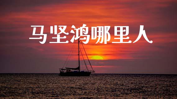 马坚鸿哪里人_https://m.fansifence.com_消费金融_第1张