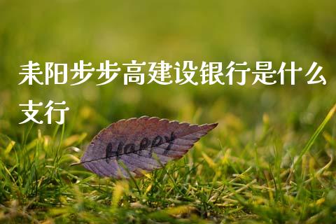 耒阳步步高建设银行是什么支行_https://m.fansifence.com_公募基金_第1张