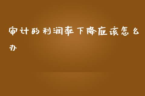 审计的利润率下降应该怎么办_https://m.fansifence.com_公募基金_第1张
