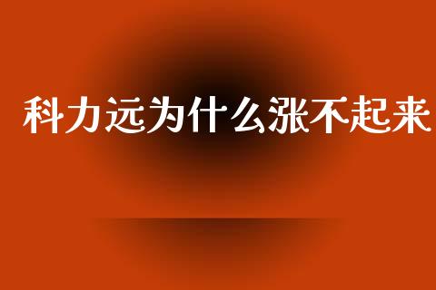 科力远为什么涨不起来_https://m.fansifence.com_消费金融_第1张