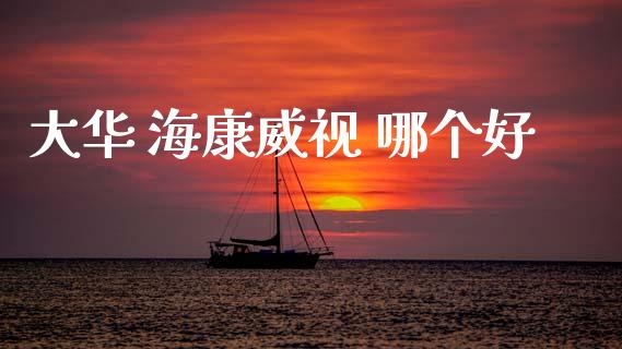 大华 海康威视 哪个好_https://m.fansifence.com_个股行情_第1张