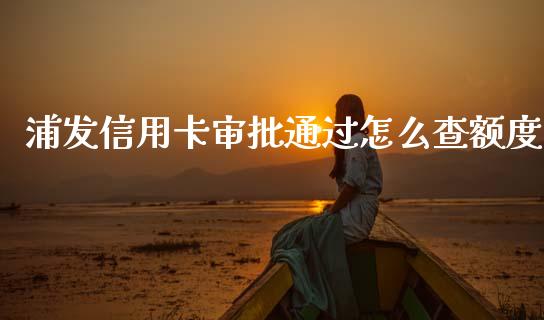 浦发信用卡审批通过怎么查额度_https://m.fansifence.com_公募基金_第1张