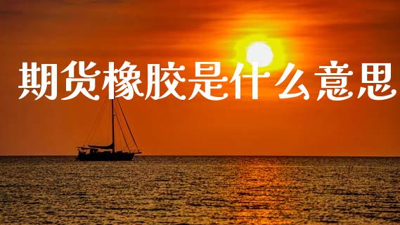 期货橡胶是什么意思_https://m.fansifence.com_公募基金_第1张