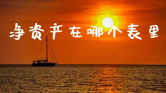 净资产在哪个表里_https://m.fansifence.com_消费金融_第1张
