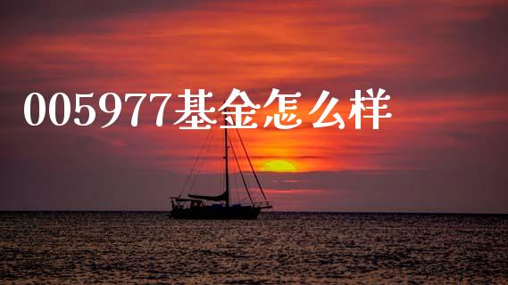 005977基金怎么样_https://m.fansifence.com_个股行情_第1张