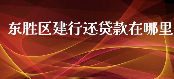 东胜区建行还贷款在哪里_https://m.fansifence.com_公募基金_第1张