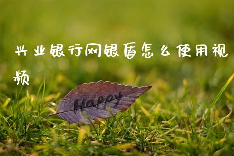 兴业银行网银盾怎么使用视频_https://m.fansifence.com_贵金属行情_第1张