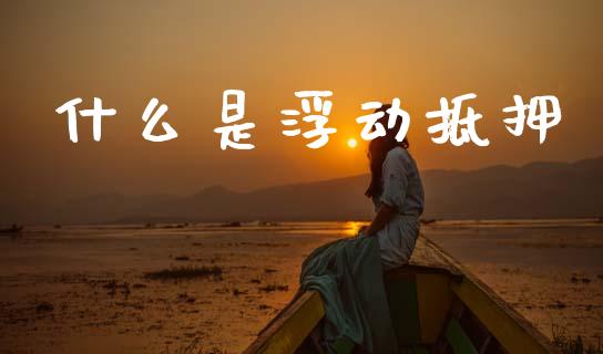 什么是浮动抵押_https://m.fansifence.com_消费金融_第1张