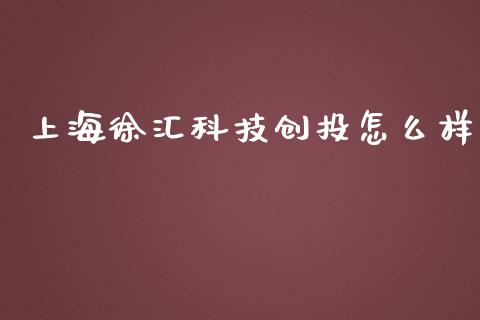 上海徐汇科技创投怎么样_https://m.fansifence.com_消费金融_第1张