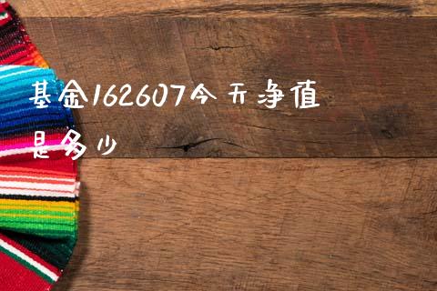 基金162607今天净值是多少_https://m.fansifence.com_消费金融_第1张