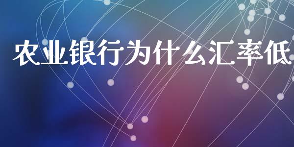 农业银行为什么汇率低_https://m.fansifence.com_消费金融_第1张
