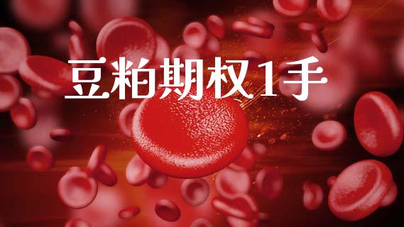 豆粕期权1手_https://m.fansifence.com_贵金属行情_第1张