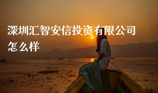 深圳汇智安信投资有限公司怎么样_https://m.fansifence.com_消费金融_第1张