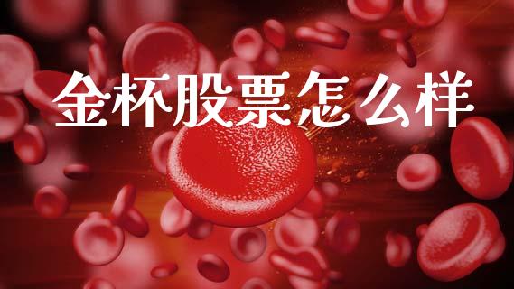金杯股票怎么样_https://m.fansifence.com_消费金融_第1张