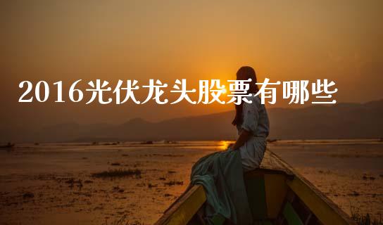2016光伏龙头股票有哪些_https://m.fansifence.com_公募基金_第1张