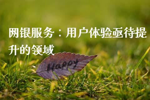 网银服务：用户体验亟待提升的领域_https://m.fansifence.com_贵金属行情_第1张