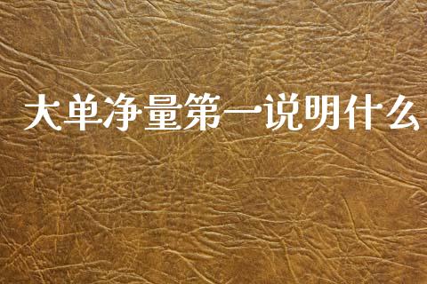 大单净量第一说明什么_https://m.fansifence.com_公募基金_第1张