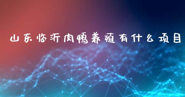 山东临沂肉鸭养殖有什么项目_https://m.fansifence.com_个股行情_第1张