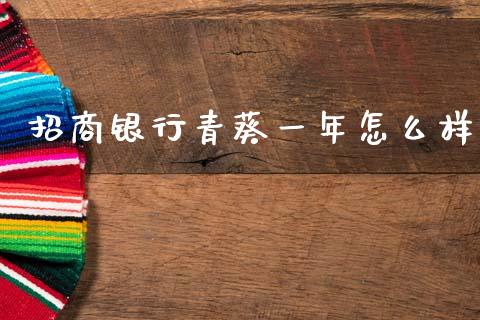 招商银行青葵一年怎么样_https://m.fansifence.com_消费金融_第1张