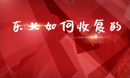 东北如何收复的_https://m.fansifence.com_个股行情_第1张