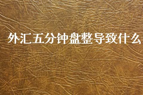 外汇五分钟盘整导致什么_https://m.fansifence.com_公募基金_第1张
