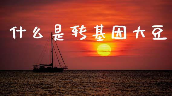 什么是转基因大豆_https://m.fansifence.com_个股行情_第1张