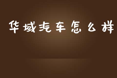 华域汽车怎么样_https://m.fansifence.com_贵金属行情_第1张