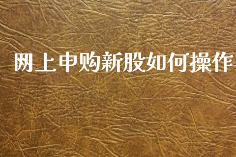 网上申购新股如何操作_https://m.fansifence.com_消费金融_第1张
