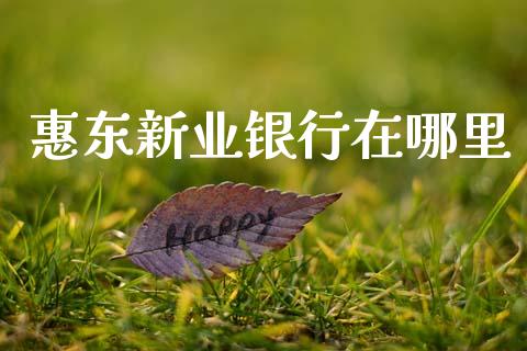 惠东新业银行在哪里_https://m.fansifence.com_公募基金_第1张