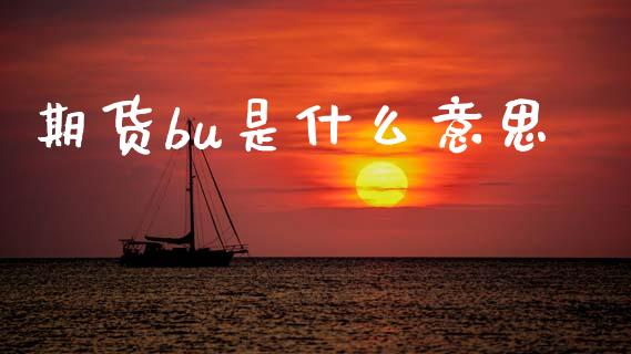 期货bu是什么意思_https://m.fansifence.com_公募基金_第1张