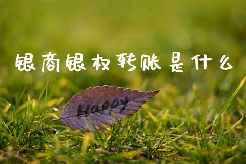 银商银权转账是什么_https://m.fansifence.com_消费金融_第1张