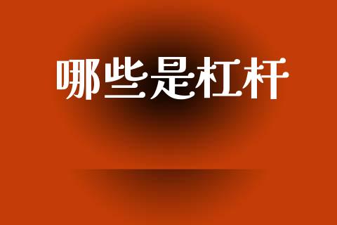 哪些是杠杆_https://m.fansifence.com_个股行情_第1张