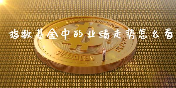 指数基金中的业绩走势怎么看_https://m.fansifence.com_公募基金_第1张