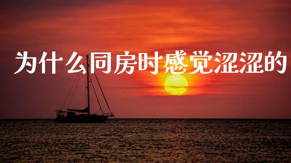 为什么同房时感觉涩涩的_https://m.fansifence.com_公募基金_第1张