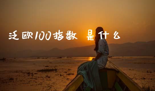 泛欧100指数 是什么_https://m.fansifence.com_消费金融_第1张