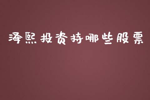 泽熙投资持哪些股票_https://m.fansifence.com_公募基金_第1张
