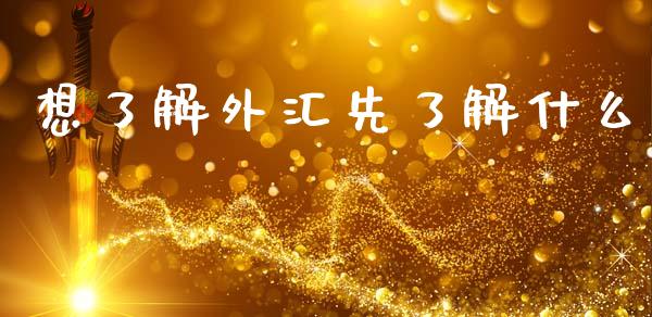 想了解外汇先了解什么_https://m.fansifence.com_个股行情_第1张