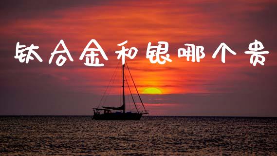钛合金和银哪个贵_https://m.fansifence.com_消费金融_第1张