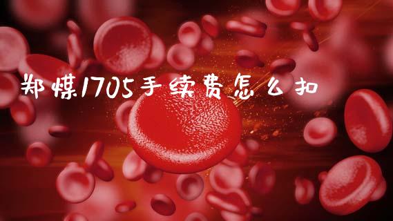 郑煤1705手续费怎么扣_https://m.fansifence.com_贵金属行情_第1张