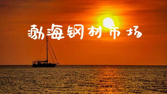 渤海钢材市场_https://m.fansifence.com_贵金属行情_第1张