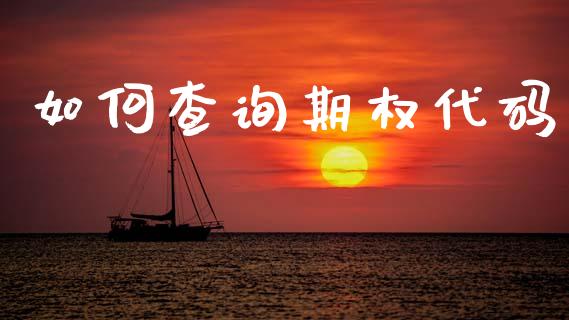 如何查询期权代码_https://m.fansifence.com_消费金融_第1张
